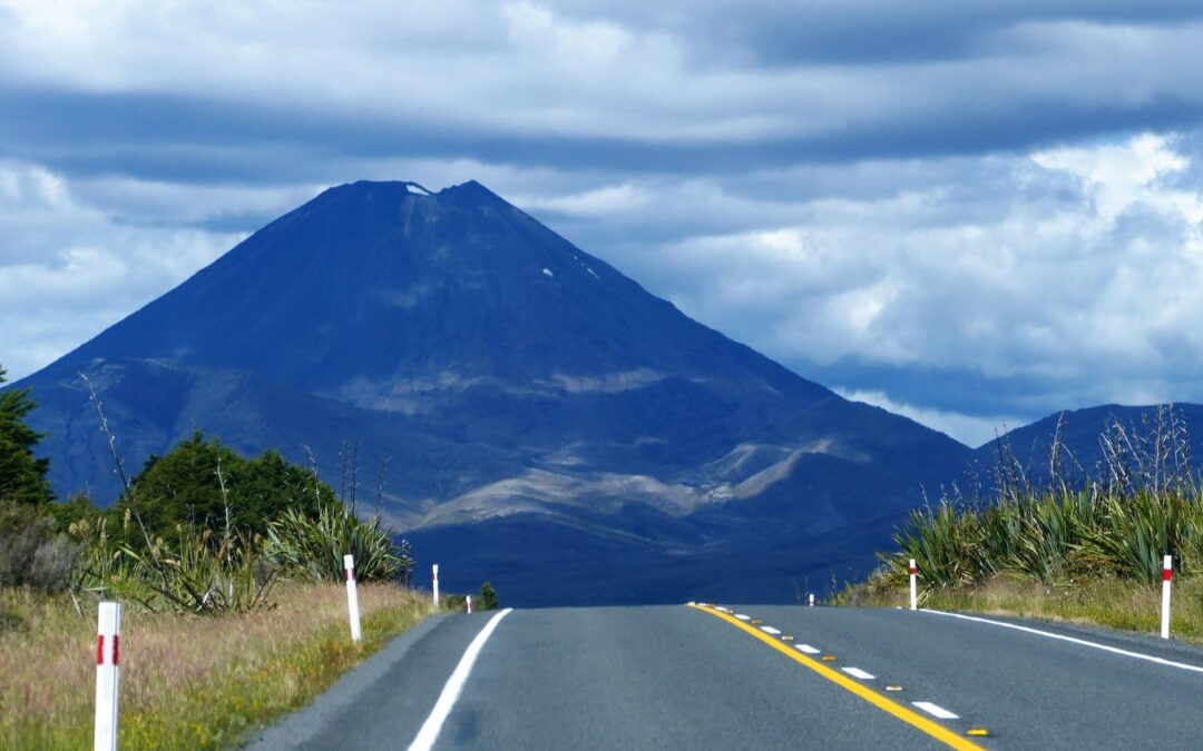 Wellington – Tongariro National Park