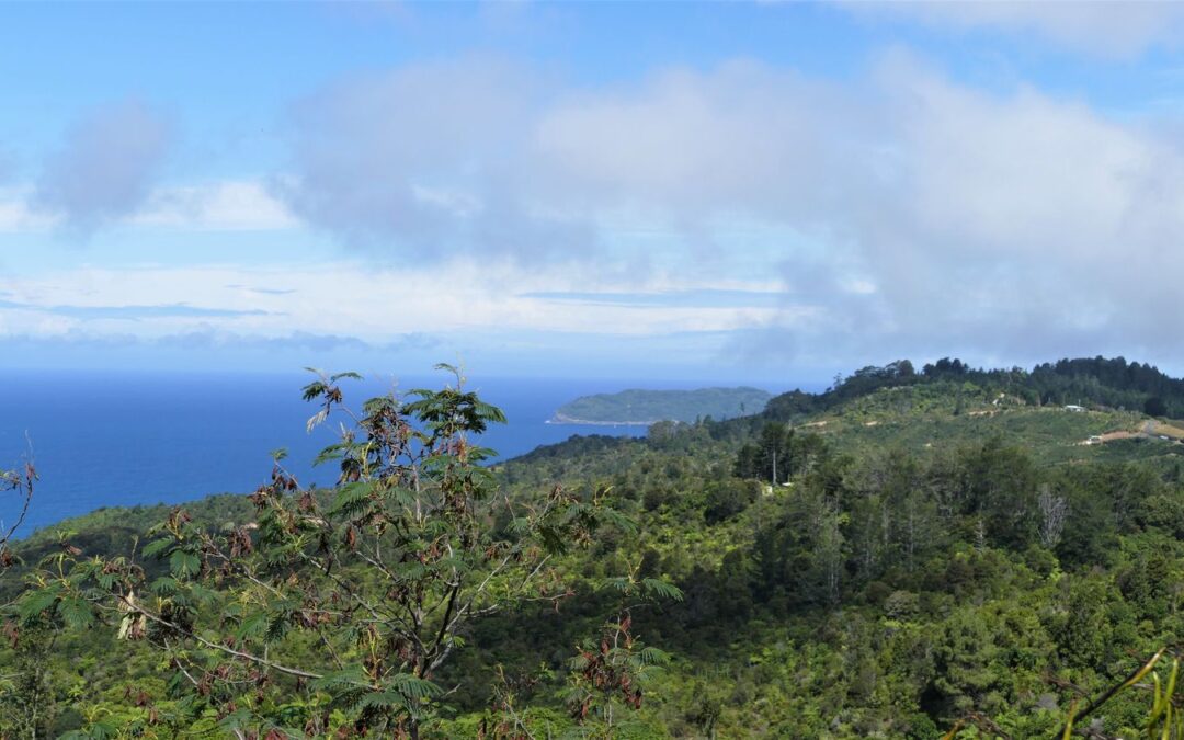 Rotorua – Coromandel